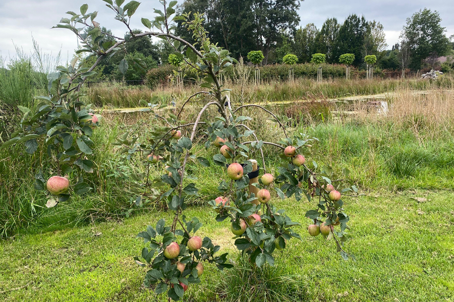 huisregels-warrebos-1